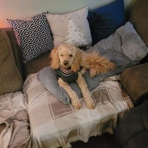 Meet your Posher, Kyle